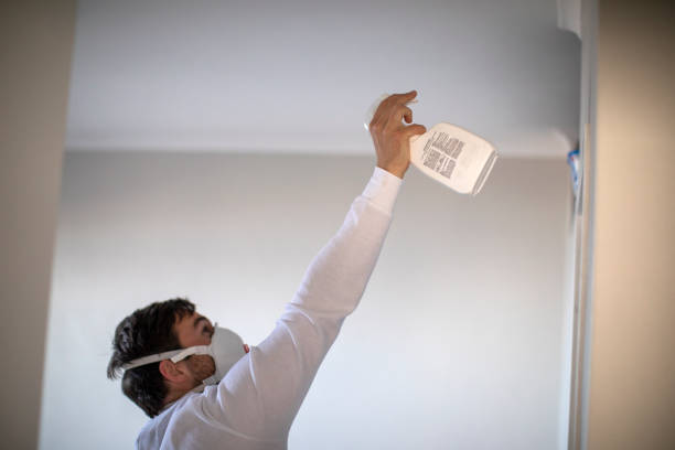 Best Residential Mold Remediation in Shelbyvle, IL