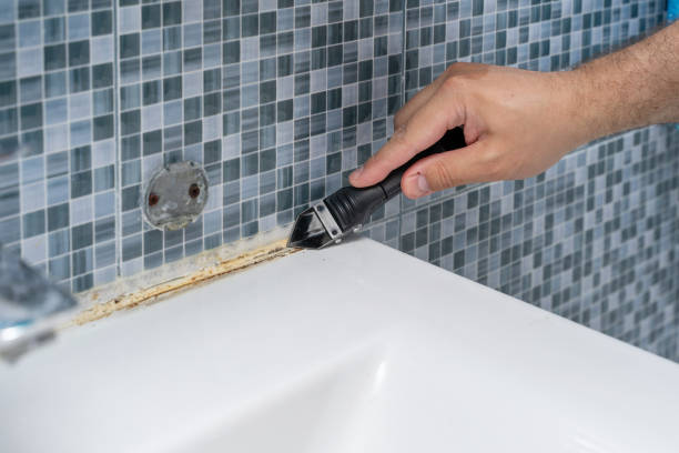 Best White Mold Remediation in Shelbyvle, IL